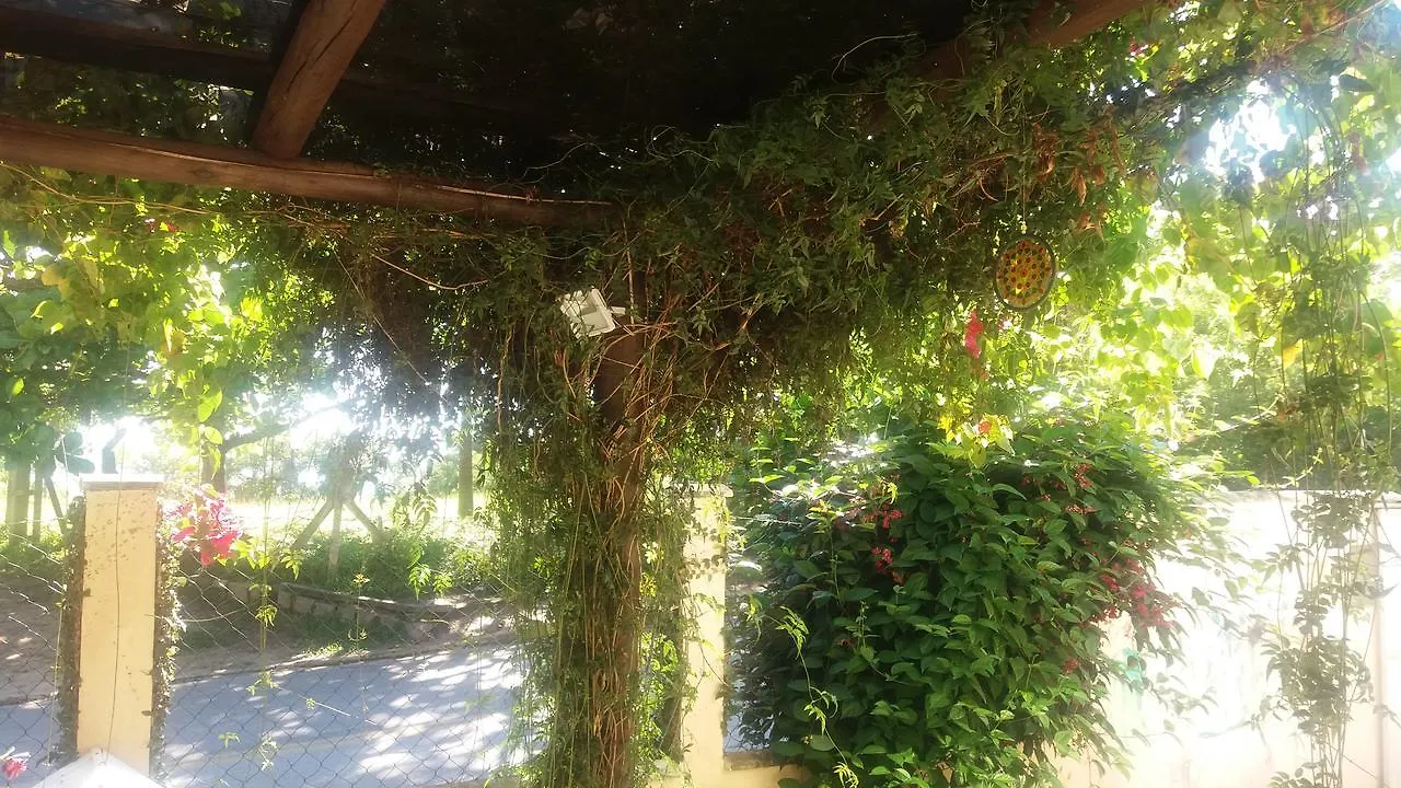 Alma Dos Golfinhos Villa Governador Celso Ramos Holiday home