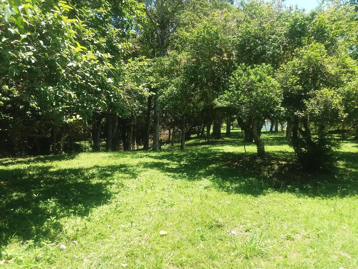 Alma Dos Golfinhos Villa Governador Celso Ramos 0*,